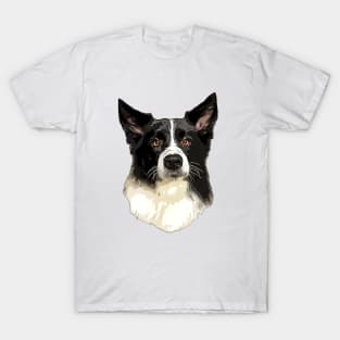 Border Collie Cuteness! T-Shirt